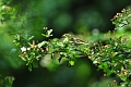 27 05 16_6718_edited-1